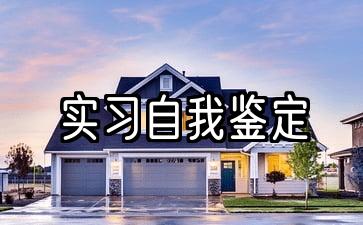 10篇实践自我评估示范文章