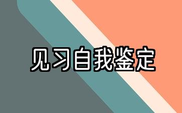 实习自我鉴定100字