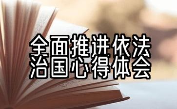 全面推进依法治国心得体会200字