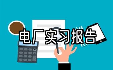 5发电厂实践的样本报告