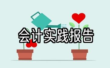 会计实践报告1000字