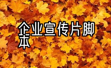 企业宣传片脚本范文