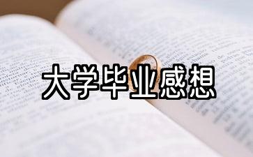 大学毕业感言300字