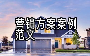 企业营销方案案例模型综述