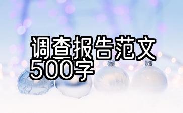 家庭调查报告范文500字