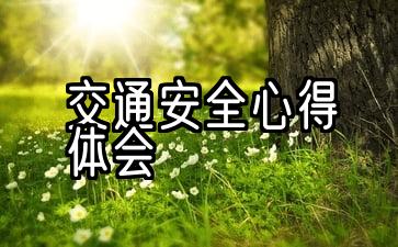 交通安全心得体会600字