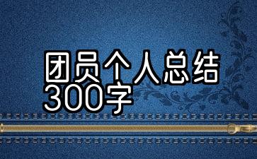 团员个人总结300字大学生