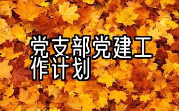 2022年农村党支部党建工作计划