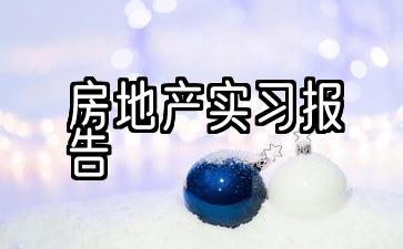 5份房地产实习报告样本