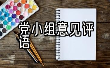 党小组意见评语发展对象