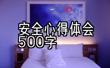 交通安全心得体会500字