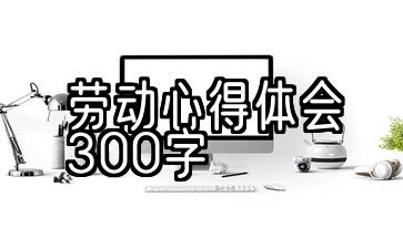 劳动心得体会300字