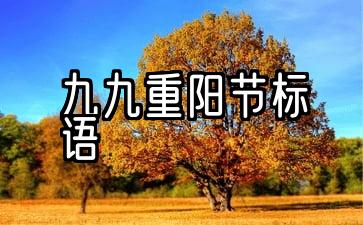 九九重阳节标语口号