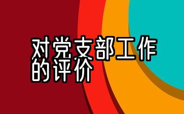 群众对党支部工作的评价