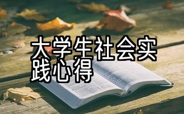 大学生社会实践心得体会300字