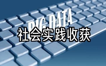 社会实践收获与感悟300字