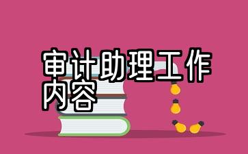 高级审计助理工作内容