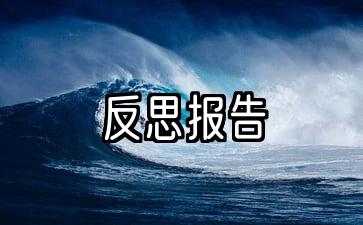 五份个人反思报告