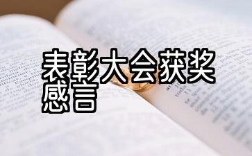 表彰大会获奖感言10句