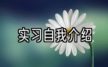 实习面试一分钟自我介绍范文5