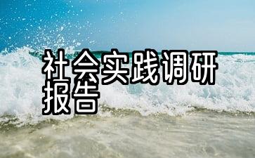 社会实践调研报告最佳范文