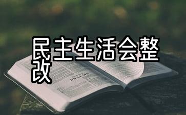 民主生活会议整改实施情况示范报告：5