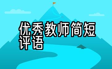 优秀教师简短评语300到500字