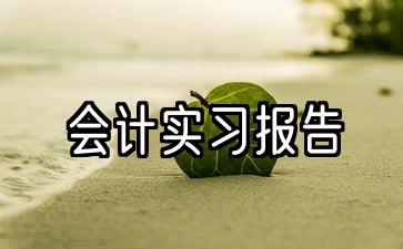 会计实务报告范本5000字