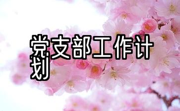 党支部工作计划由谁制定