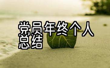 党员年终个人总结格式