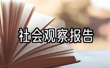 大学生社会观察报告