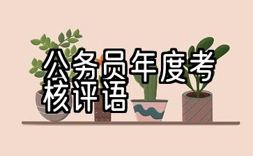 公务员年度考核评语20字