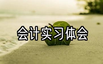 会计实务经验与思考