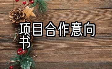 合作项目计划书