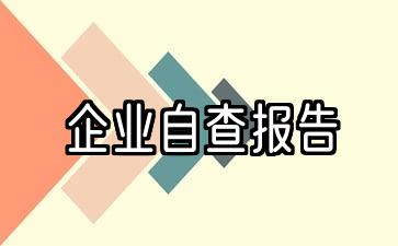 企业自评报告