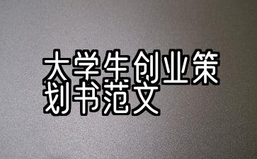 2021最新大学生创业计划模型第5条