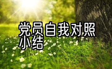 党员自我对照小结2021