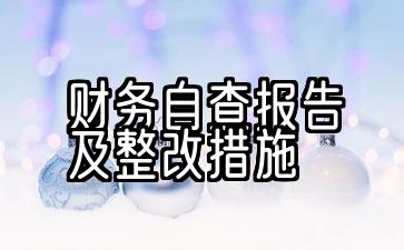 医院财务自查报告及整改措施