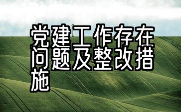 学校党建工作存在问题及整改措施