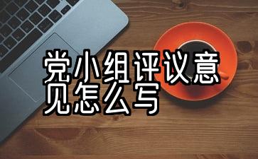 党组模范评语