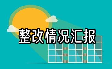 组织生活党支部问题整改情况汇报