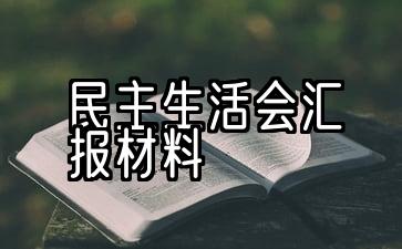 5个民主生活会议个人演讲材料模板