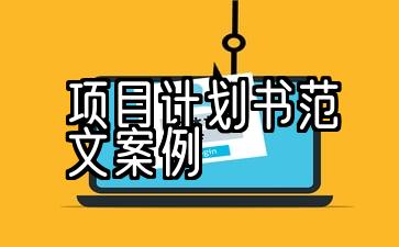 项目计划书范文案例冲压